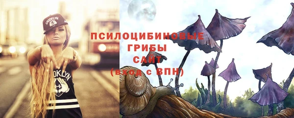 стафф Горняк